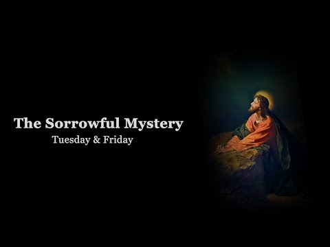 The Holy Rosary: Sorrowful Mysteries with Litany (Tuesday & Friday)