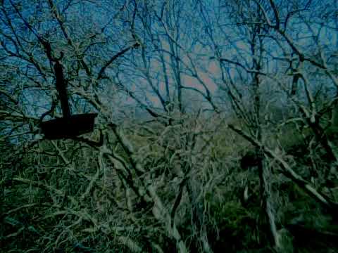 CB-FUNK auf der Frequenz 26,975 MHz, in FM, am 20200405 13 04 45 mitgehört