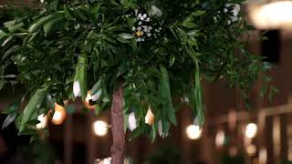 AbuDhabi wedding 16/9/2017