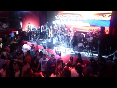 Se Parecio Tanto a ti - Alvaro Granobles con Orquesta Steven's en Mambocafé Insurgentes