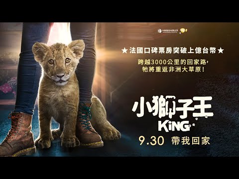《 小獅子王 》𝕂𝕚ℕ𝔾 國際中文預告 🦁牠將重返非洲大草原 │ 𝟡.𝟛𝟘  帶我回家 🐾
