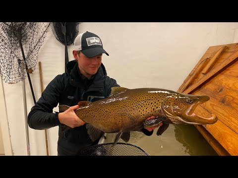 Ørretfiske på ville veier - Stamfiske