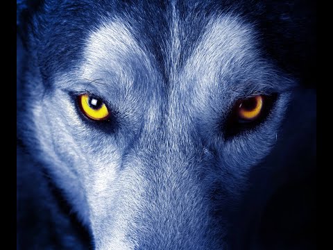 [Kale] Open tag 25/01/23