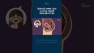 Download lagu Sensasi Anal Sex Ujung Saraf dan Prostat mp3