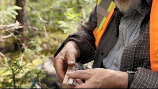 Sustainable Forestry in Canada | Georgia-Pacific
