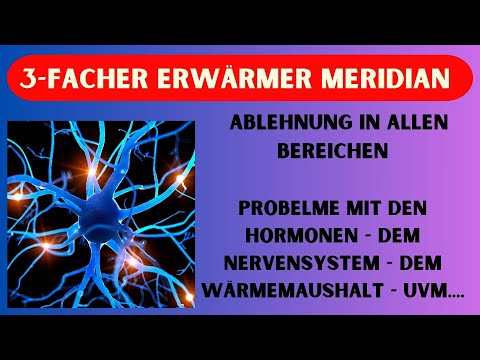 DEIN 3-FACHE ERWÄRMER MERIDIAN - Ablehnung in allen Bereichen - Hormone - Nervensystem uvm.