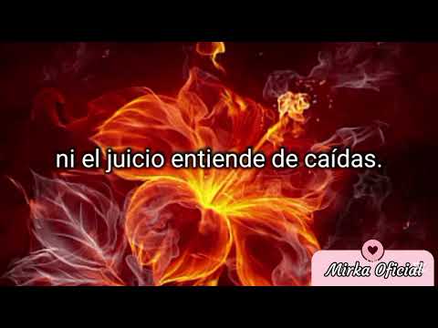 Flor De Veneno - Letra {Mirka Oficial}