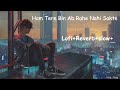 Ham Tere Bin Ab Rahe Nahi Sakte Lofi Reverb Slowed Song