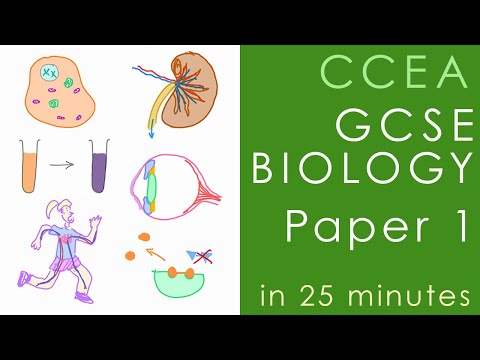 All of CCEA BIOLOGY Paper 1 in 25 minutes - GCSE Science Revision