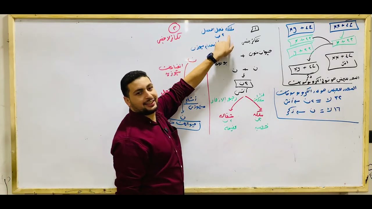 شرح التوالد البكري بكل الافكار والتريكات العالية بطريقه مميزه احياء تالته 