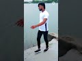 O Nan Apara Banna Kajal Kajal Mein Dil Mera Wattapps Status