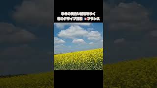 幸せの黄色い絨毯をゆく春のドライブ日和🇨🇵 フランス