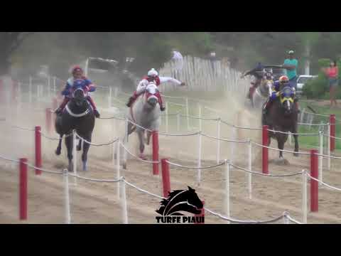 Flashback - Hur Ease HRZ - Haras Primavera 2021