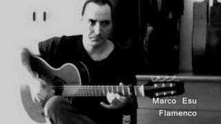 Flamenco improvisation of Marco Esu - 2008