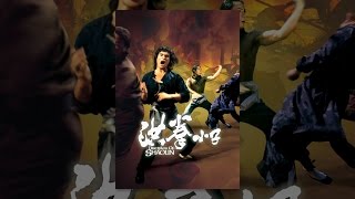 Disciples of Shaolin