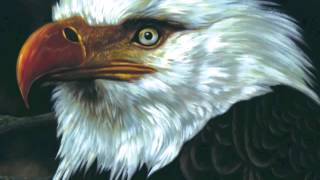 Mogwai - The Hawk is Howling (2008) - Full Album (no Batcat)