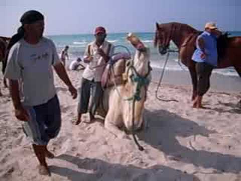 Djerba Sun Club Kamel :D