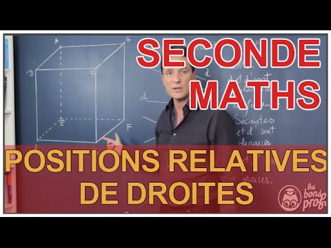 Relative positions of lines - Geometry in space - Second year maths - Les Bons Profs
