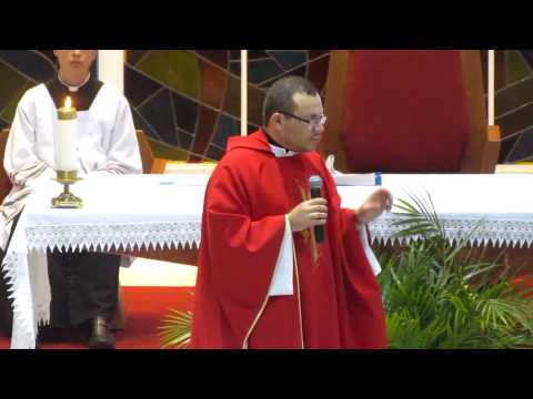 Homilia dia 29/03/2014 - Domingo de Ramos -  Padre Lécio - Par. Imac. Coração de Maria - Park Way-DF