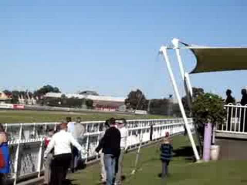 rosehill horse racing