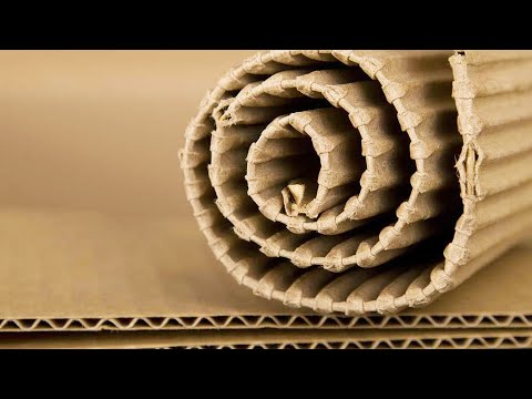 Добрушская бумажная фабрика готовится к запуску производства картона видео