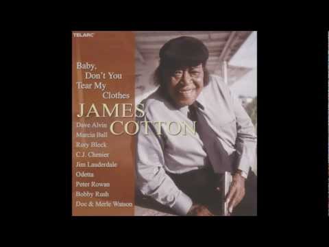 Thumbnail for James Cotton - Friends by James Cotton