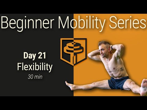 Day 21: Full Body Flexibility | 30 Minutes | Beginner Mobility Series thumbnail