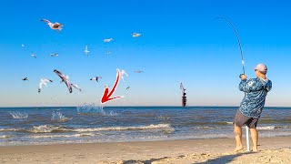 This Is Why You Throw HUGE Mullets Off The Beach In Alabama!
