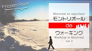 【モントリオール】カナダの冬に散歩したら、凍った川発見！ | Frozen River during winter in Montreal, Canada