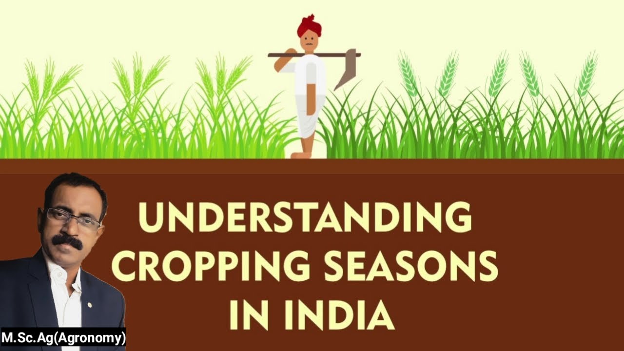CROPPING SEASONS IN INDIA