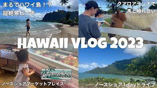 【Hawaii2023】3歳子連れ🌺レンタカーでノースショアドライブ🚗|人が少ない秘境絶景ビーチ！|クアロアランチで馬と触れ合い