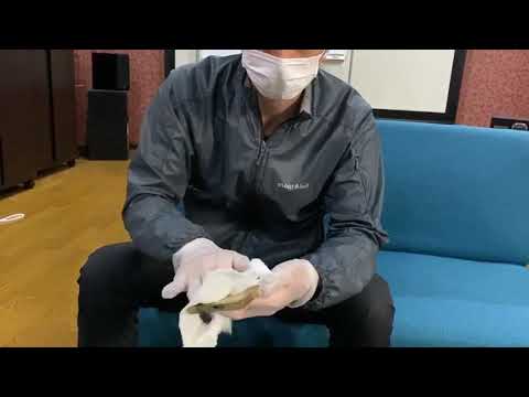 携帯電話をどのくらいの頻度で消毒する必要がありますか?