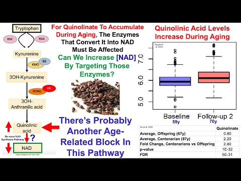 Grape Seed Proanthocyanidins Increase NAD