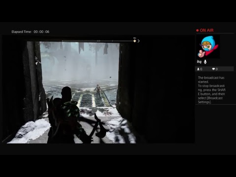 Valkyrie in Alfheim Battle