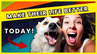 Your Dog Deserves This: The Real Formula for Canine Happiness 