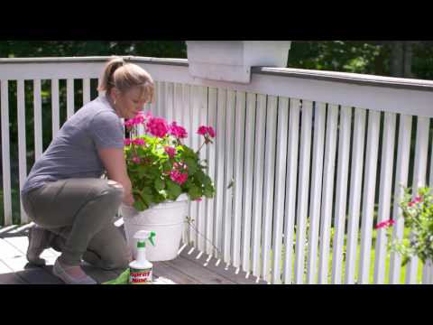 Spray Nine | Heavy-Duty Household Cleaner, Degreaser and Disinfectant