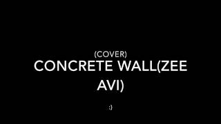 Audio- Concrete Wall Cover