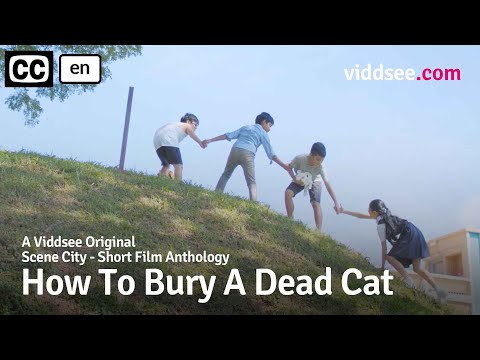 How To Bury A Dead Cat - Will This Cat Make It To Heaven? // Viddsee Originals