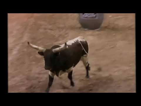 Hooter bucks Scot Wheatley - 94 PBR Finals