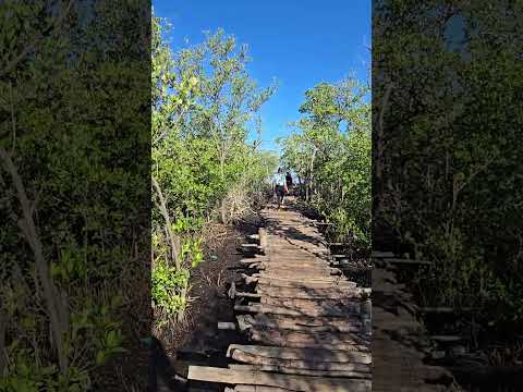 #pinardelrio #cuba #arroyosdemantua