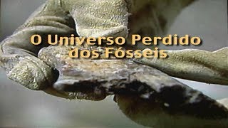 Miniatura do vídeo