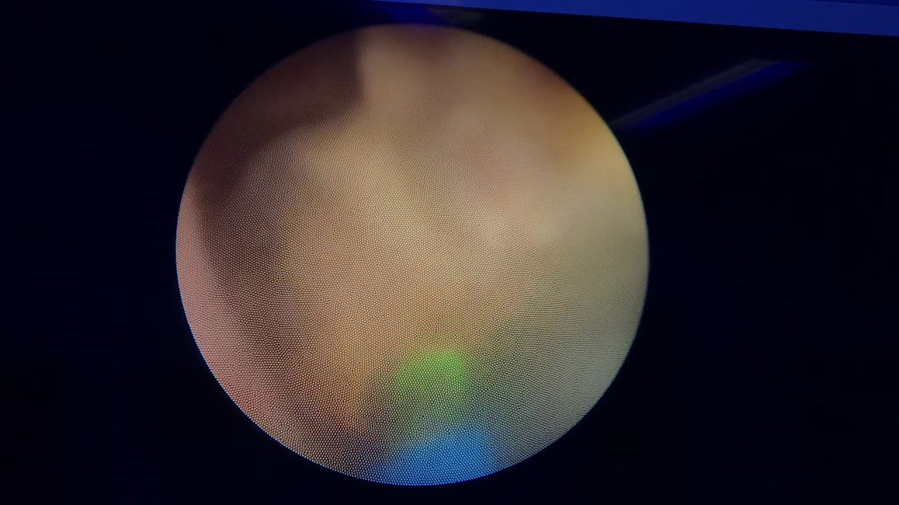 David López Sánchez-5