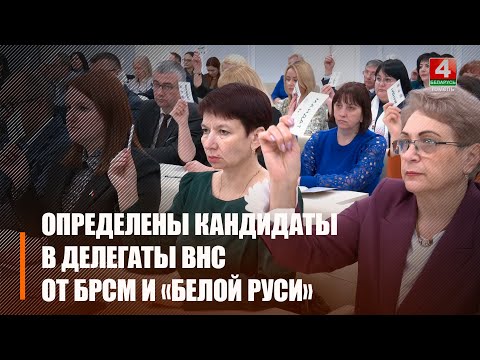 На Гомельщине по 10 кандидатов в делегаты ВНС выдвинули БРСМ и «Белая русь»