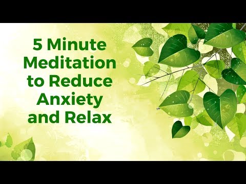 5 Minute Quick Anxiety Reduction Guided Mindfulness Meditation