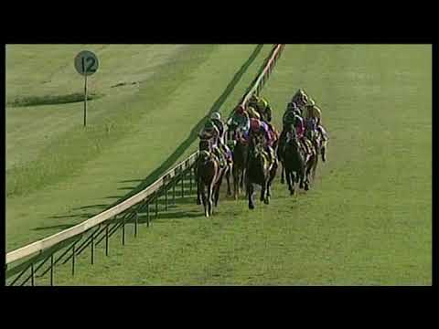 20200226 Hollywoodbets Scottsville Express Clip Race 9 won by CLARA