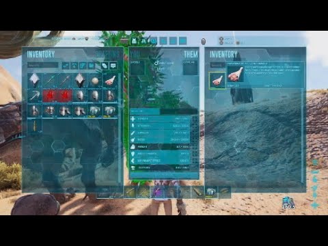 How a 15000 hour trio take on day 1 of ASA SIM