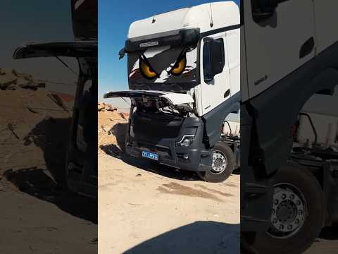 Mercedes Power Line-Up 🚛💥✨