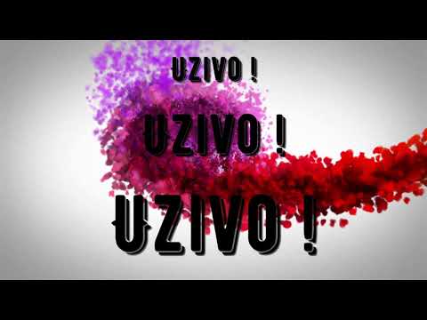 Miroslav Avramovic Miki - Repriza uzivo (Official Lyrics Video)