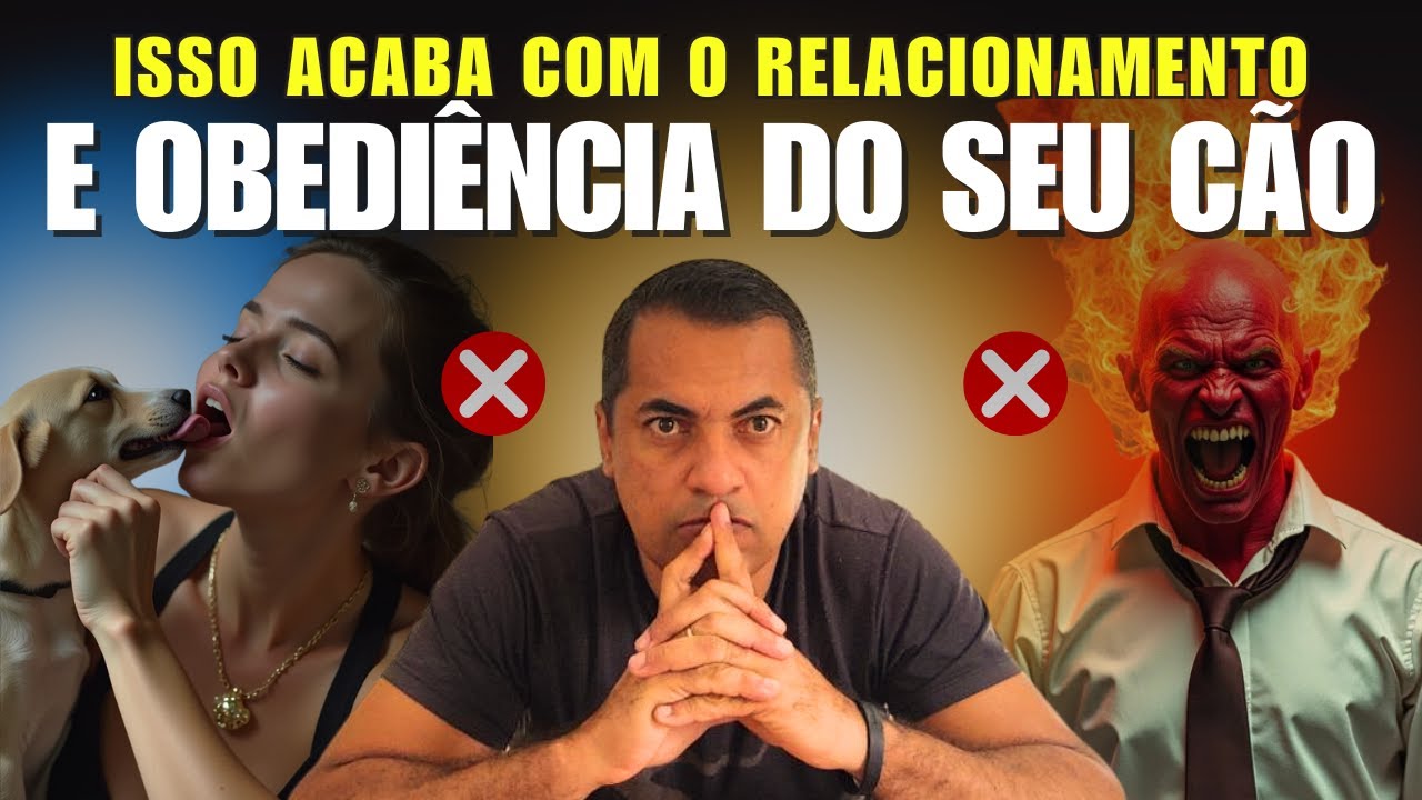 2 ERROS QUE IMPEDEM VOCÊ DE TER UM CÃO OBEDIENTE POR TODA A VIDA
