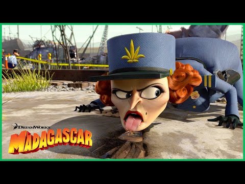 Os Melhores Episódios com a Capitã Chantel Dubois 🚨 | DreamWorks Madagascar em Português